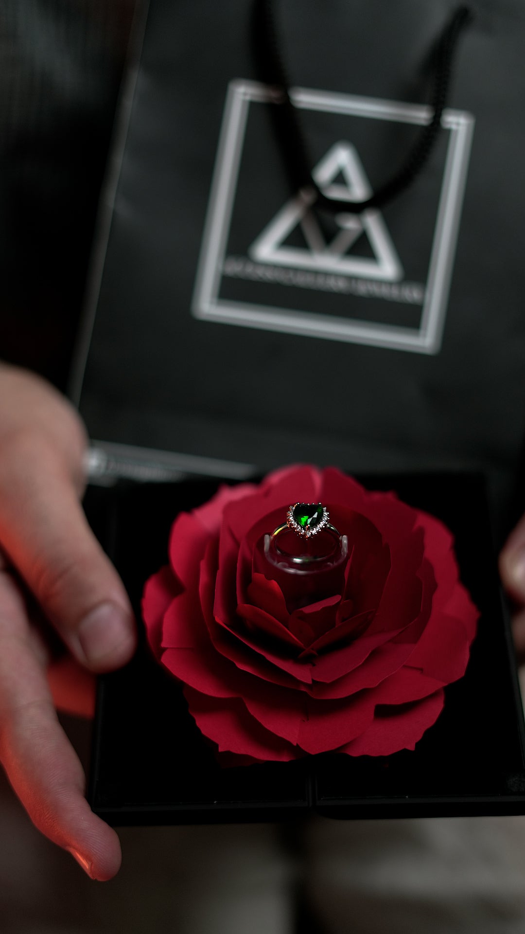 Promise Ring + box en forme livre