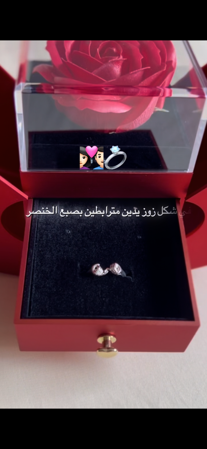 Pomme + Bague Solidité