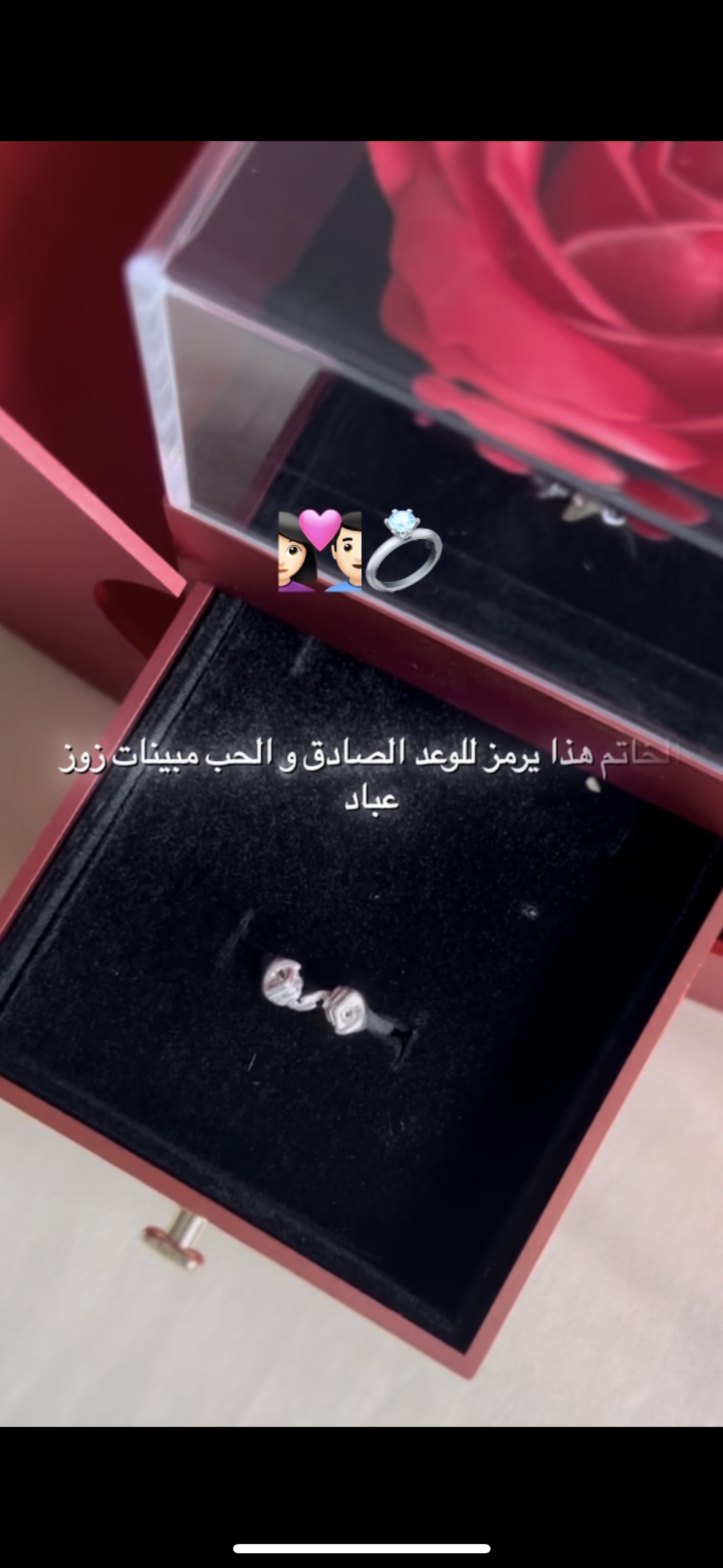 Pomme + Bague Solidité