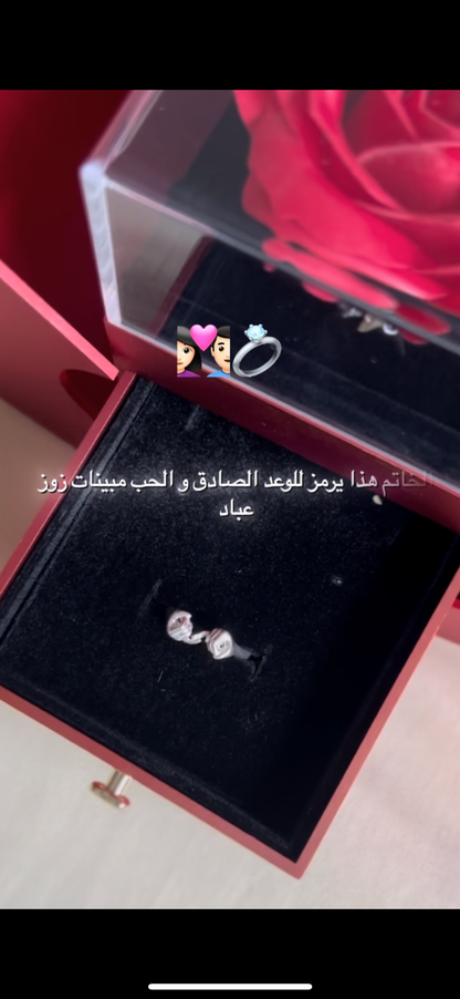 Pomme + Bague Solidité