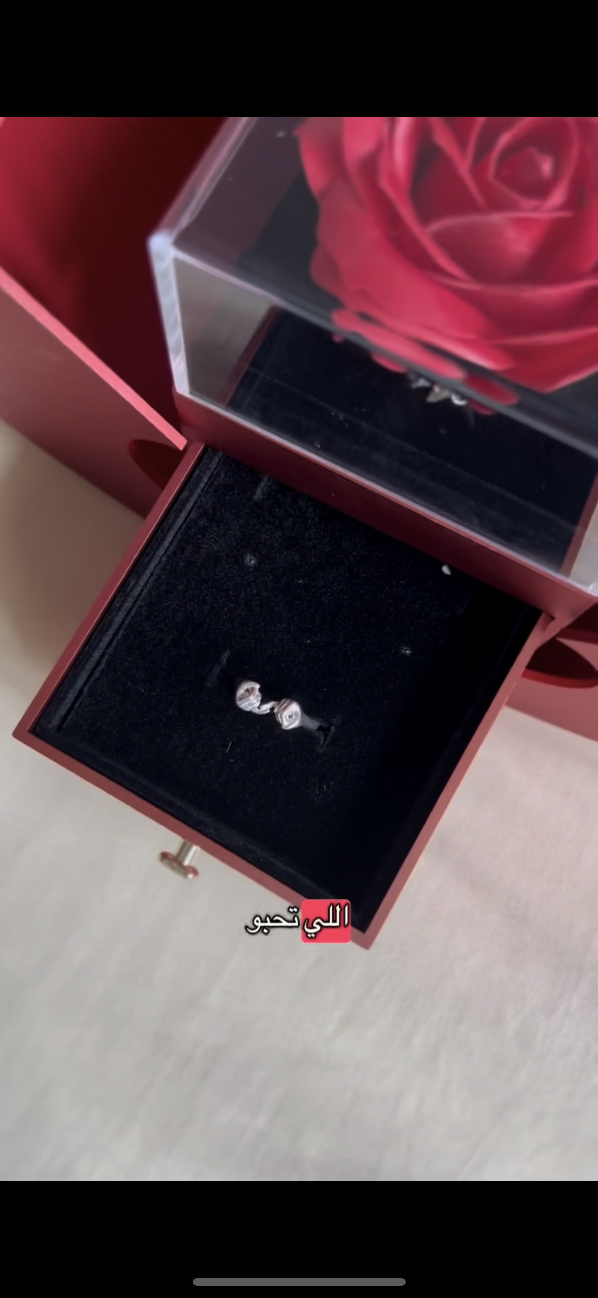 Pomme + Bague Solidité