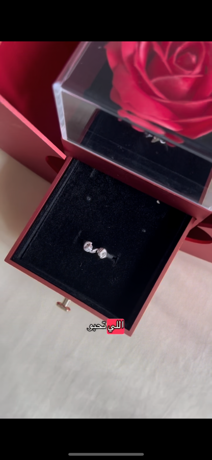 Pomme + Bague Solidité